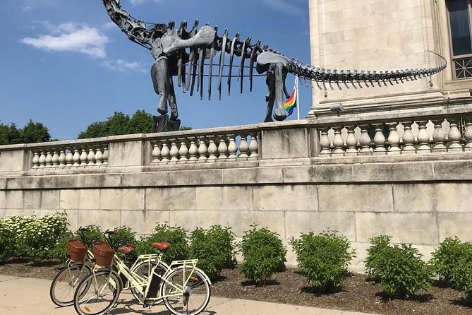 Chicago Lakefront Electric Bike Tour - Customer Feedback and Experiences