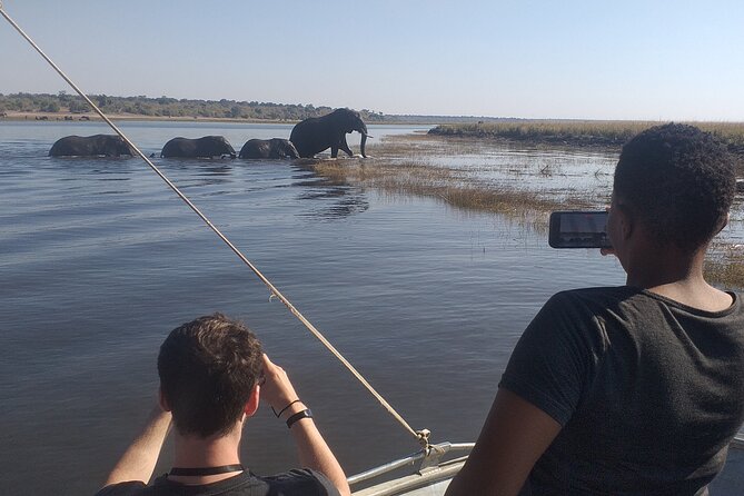 Chobe Botswana Full-Day Trip - Accessibility Features