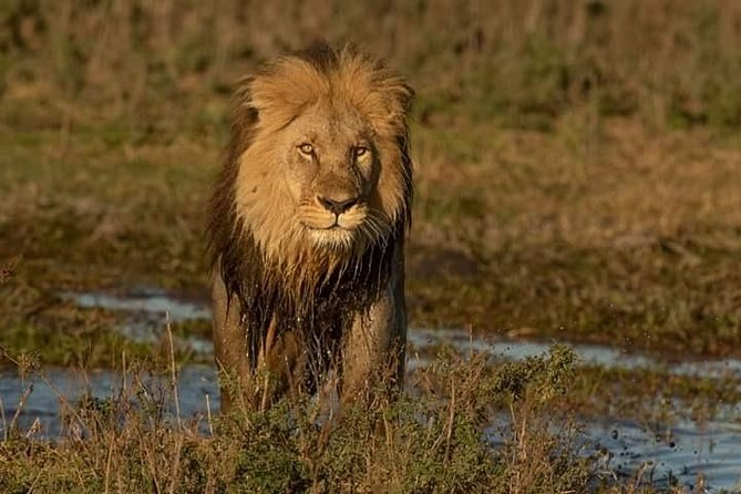 Chobe Day Trip - Customer Reviews and Ratings