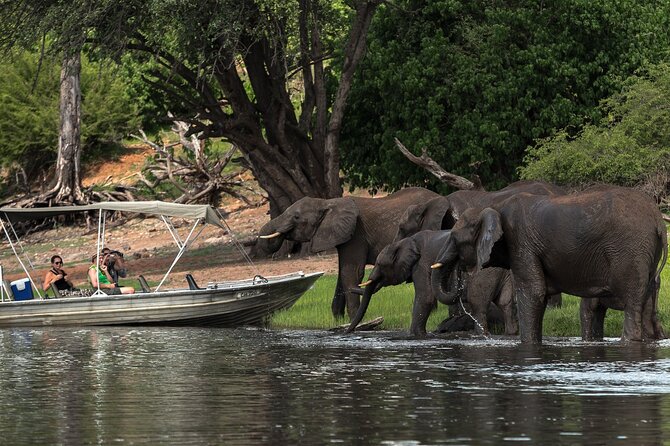 Chobe Day Trip, Botswana - Pricing and Booking Details