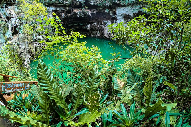 Choose Your Experience to Live in the 7 Cenotes San Gerónimo - Fitness Level Requirement