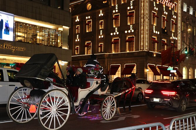 Christmas Light Private Carriage Ride New York City - Pricing and Cancellation Policy
