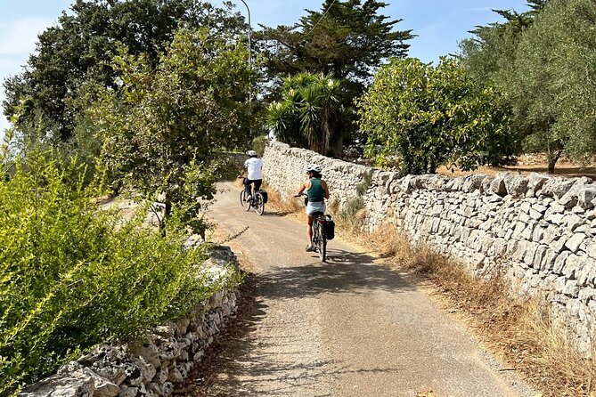 Cisternino E-Bike Tour. Visit a Winery and an Oil Mill - Highlights of the Tour