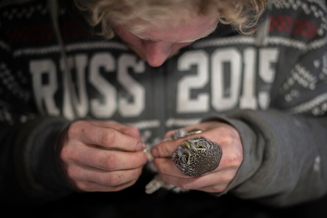 Citizen Science Monitor Owls in the Wilderness Near Tromsø - Booking and Cancellation Policy