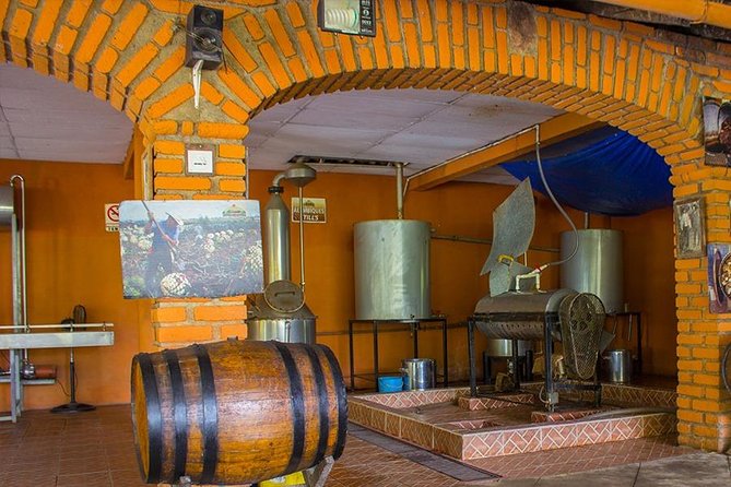 City and Tequila Tour in Puerto Vallarta - Transportation and Pickup