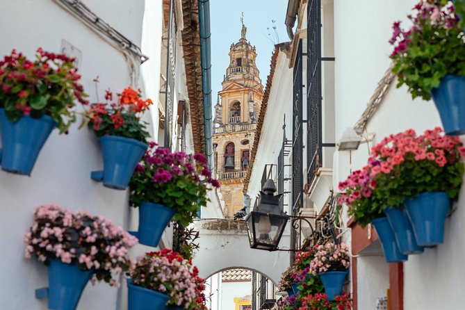 City Discovery: Carmona & Cordoba Private Day Trip - Itinerary Breakdown