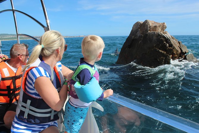City Tour La Paz, Balandra Beach, and the Magic Town of Todos Santos - Traveler Experiences