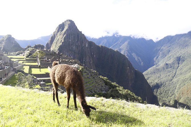 Classic 2 Days Inca Trail to Machu Picchu - Pricing and Booking
