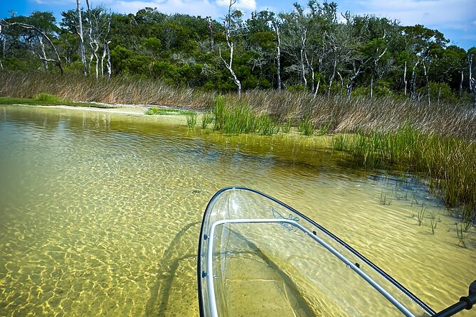 Clear Kayak Ecotour Destin Ft. Walton Beach - Booking and Pricing