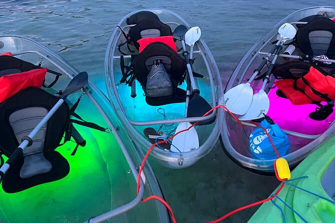 Clear Kayak Glow Tour - Customer Experiences