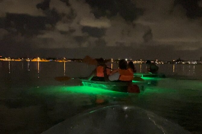 Clear Kayak Private Guided Day and Night Tours in Florida - Customer Reviews