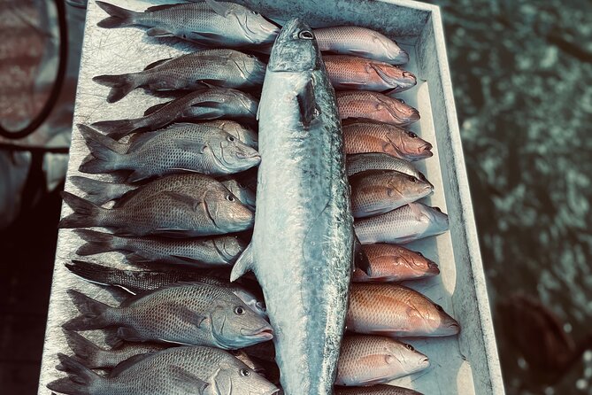 Clearwater Beach Fishing Charter! Half Day of Fishing Fun on the Water!!!!! - Whats Included in the Charter