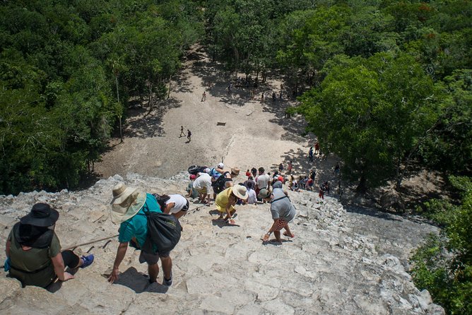 Coba and Tulum, Cenote Swim and Buffet Lunch - Customer Feedback