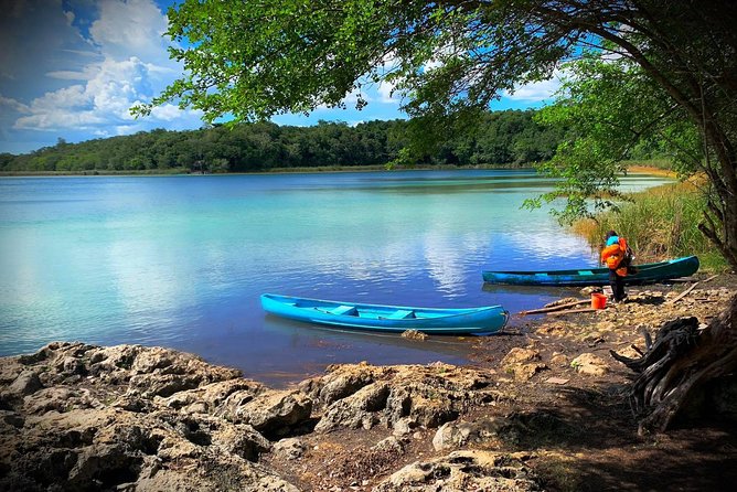 Coba & Monkey Sanctuary Punta Laguna Private Tour - Health and Safety Requirements