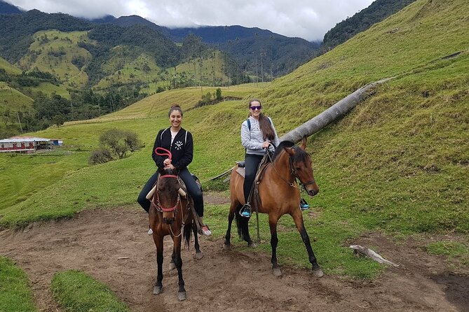 Cocora Valley and Salento Horseback Riding Day Tour - Horseback Riding in Salento