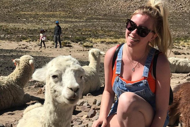 Colca Canyon Excursion One Day - Local Markets and Wildlife Observation
