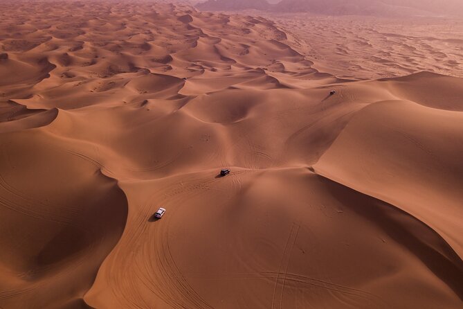 Combo Doha City Tour and Desert Safari - Optional Activities
