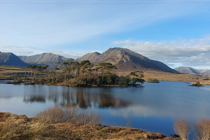 Connemara, Kylemore Abbey, Sky Road Private Tour From Galway - Reviews and Ratings