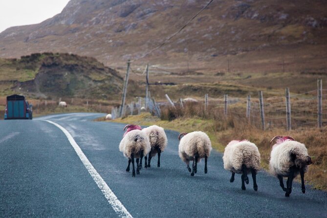 Connemara & Mayo Pub Tour From Westport. Mayo. Private Guide. Full Day. - Visiting Local Pubs