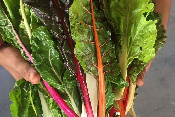 Cooking Class in Montreal With a Michelin-Star Trained Chef - Dietary Accommodations and Options