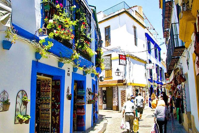 Cordoba: Fantastic Tour With Tickets - Accessibility Information