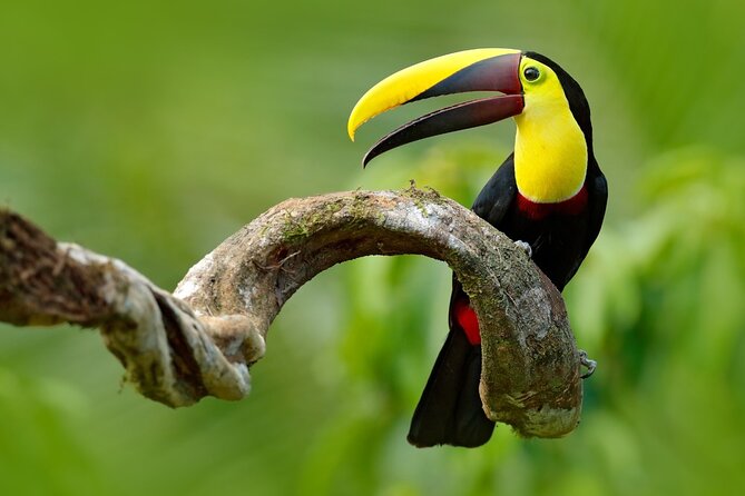 Costa Rica Package (Private) - Booking and Cancellation