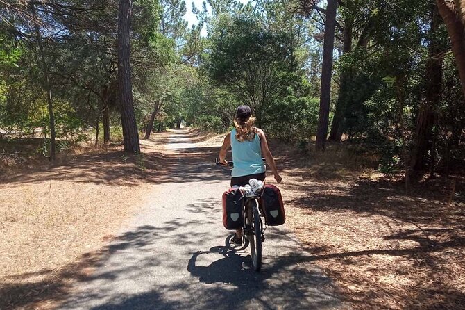 Costa Vicentina Week-Long Bike Tour From Lisbon  - Porto - Scenic Views and Landscapes