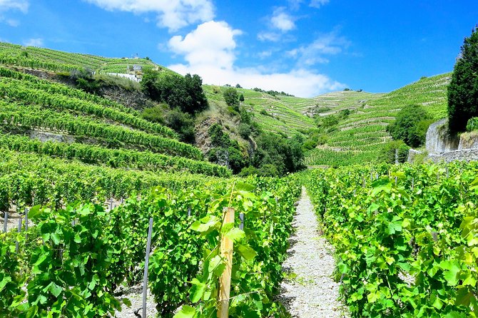Côte Rôtie Private Tour - Customer Reviews
