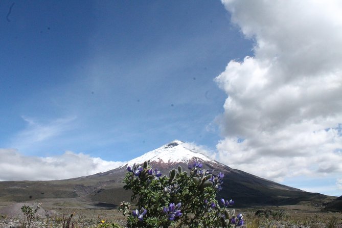 Cotopaxi Volcano (Private Day Trip From Quito) - Accessibility and Tour Schedule Details