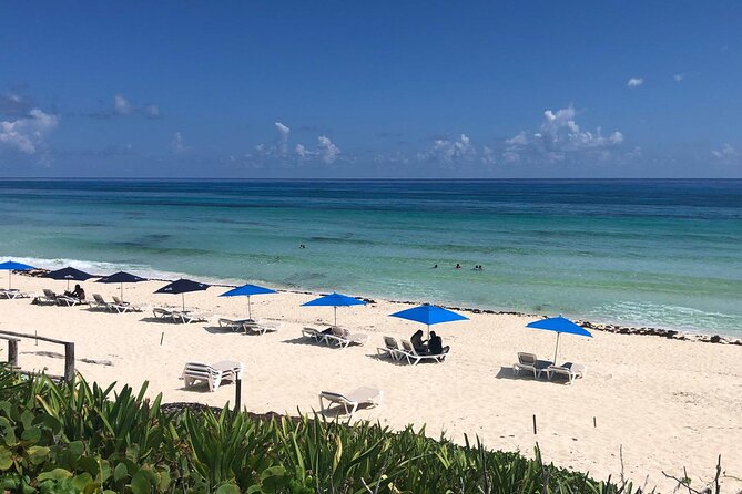 Cozumel Buggy Tour: Snorkeling , Otoch Mayan Experience & Lunch - Driver Requirements