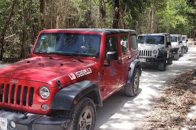 Cozumel Jeep Adventure to Jade Caverns With Lunch and Snorkel - Traveler Experiences and Feedback