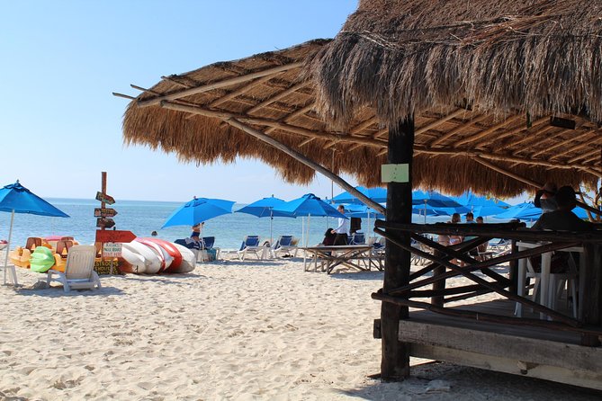 Cozumel Jeep or Buggy Tour and Snorkel With Lunch Included - Tour Highlights