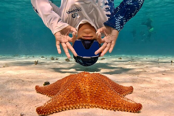 Cozumel Private Snorkeling and Charter Experience - Customer Feedback and Praise