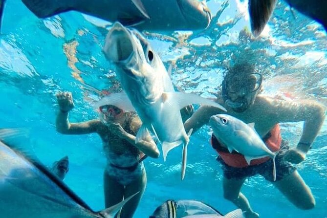 Cozumel Snorkeling Tour: Palancar, Columbia and El Cielo Reefs - Additional Information