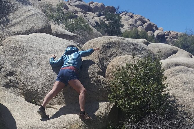 CreativeSoul ScavengerHunt(Hidden Valley,Joshua Tree)Remote Host - Meeting and Cancellation Details