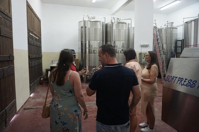 Cretan Wines & Olive Oil Tour - the Treasures of Crete - Accessibility and Accommodation