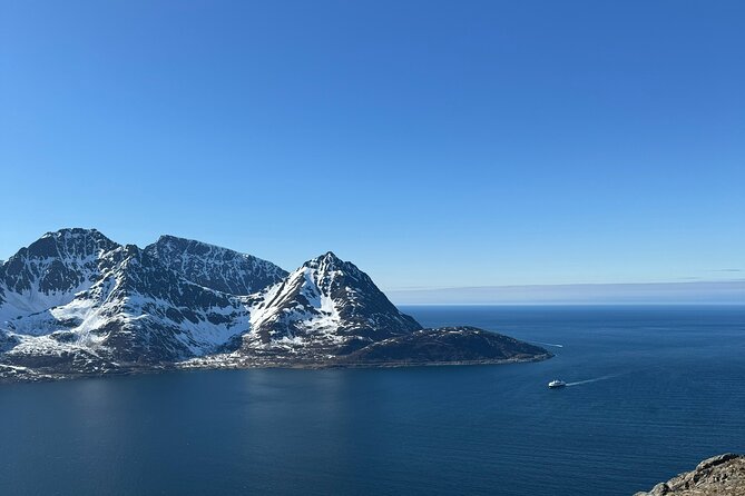 Cruise to the Fishing Village Øksfjord Including Lunch - Dietary Accommodations