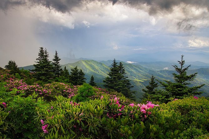 Custom Half-Day Photo Tour With Photography Lessons From Asheville - Recommended Photography Locations