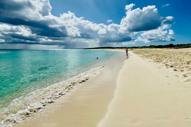Custom Private Cozumel Jeep Tour: All-Inclusive Tour - Customer Experiences and Feedback