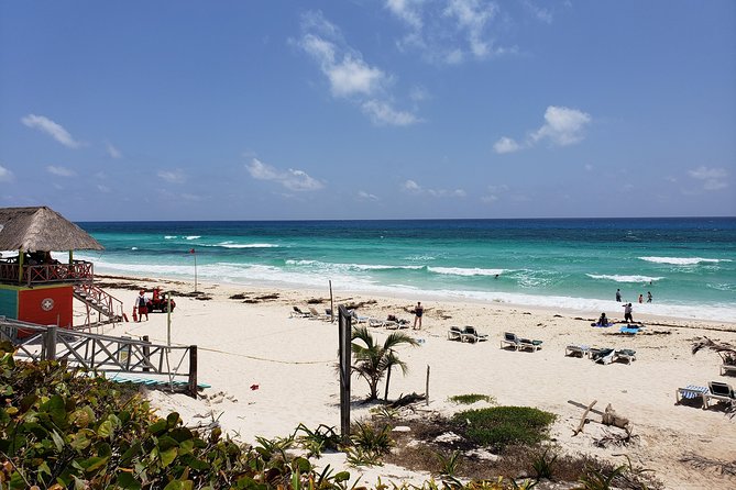 Customizable Private Buggy Tour in Cozumel With Lunch and Snorkel - Customer Feedback and Ratings