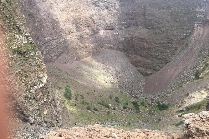 Daily Excursion Full Day 8 Hours ( Vesuvio Pompei) - Pricing and Additional Costs