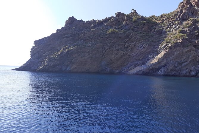 Daily Sailing Tour in Palermo With Lunch. - Meeting and Departure