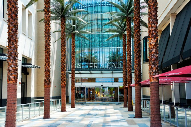 Dallas Best of Shopping Malls in the Luxury Private Limousine - Customizable Pickup and Timing Options