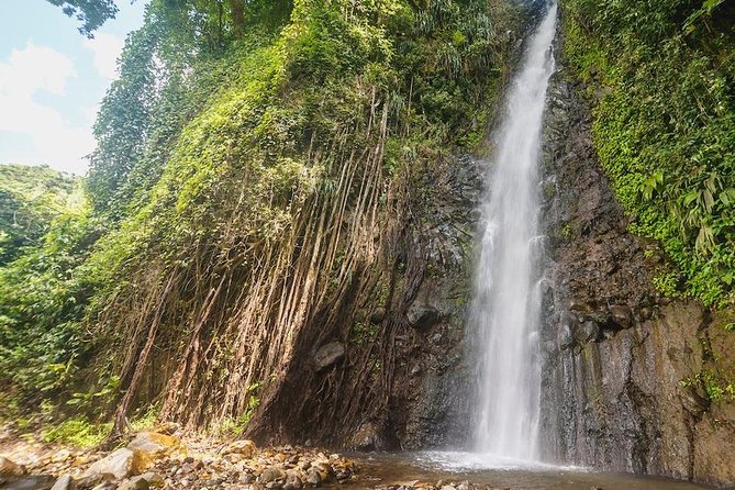 Dark View Falls Half-Day Tour - Alternatives and Recommendations