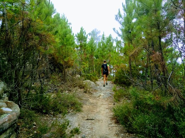 Day Hike in the Mountains of Sanremo - Health and Accessibility