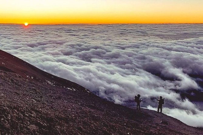 Day Hike to Mount Kilimanjaro (Mandara Hut) - Itinerary and Schedule