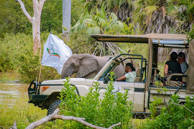 Day Safari Tour to Mikumi National Park - Cancellation and Booking