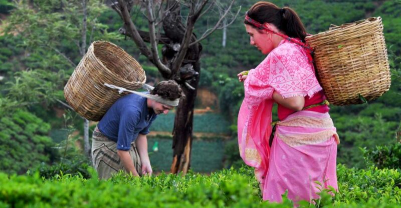 Day Tour From Kandy to Nuwara Eliya and Ramboda Waterfall - Hanuman Hindu Temple