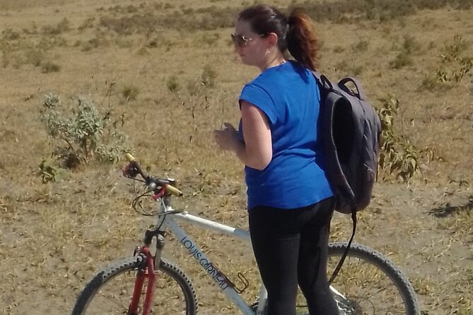 Day Tour to Hells Gate and Optional Boat Ride at Lake Naivasha - Comfort and Accessibility