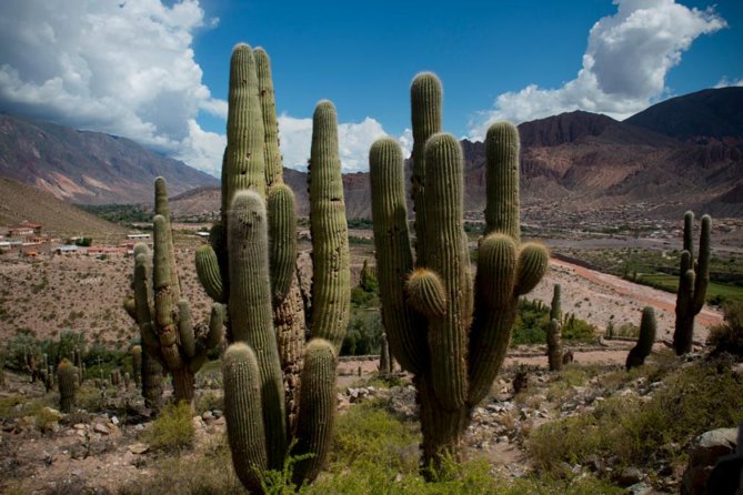 Day Trip Discover Humahuaca Valley From Salta - Feedback From Previous Travelers